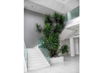 Capannone Reggio nell'Emilia - foto 5