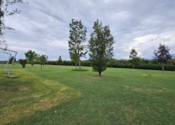 Rustico Carpi - foto 6