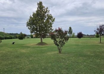 Rustico Carpi - foto 7