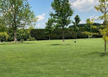 Rustico Carpi - foto 9