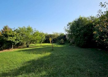 Casale Soliera - photo 8