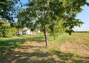 Casale Soliera - photo 9