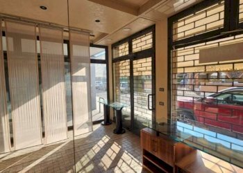 Negozio Soliera - foto 5