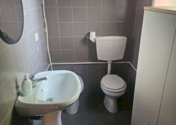 Negozio Soliera - foto 17