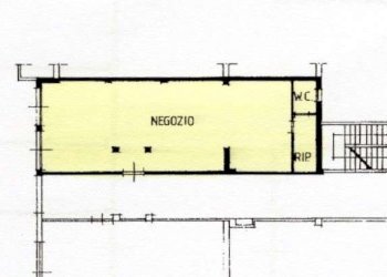 Negozio Soliera - foto 19