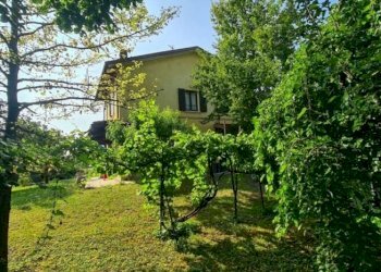 Villa Soliera - foto 4