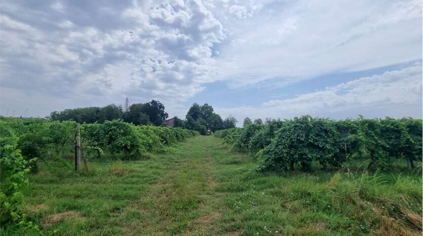 Farm Soliera - photo 2