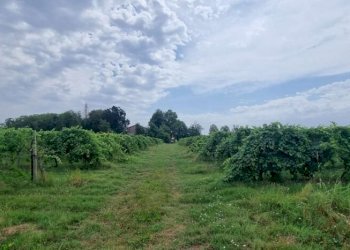 Farm Soliera - photo 2