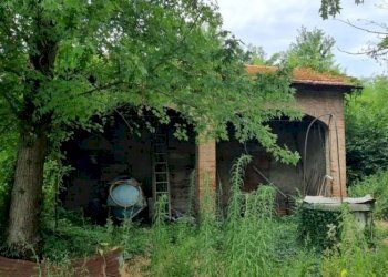 Farm Soliera - photo 6