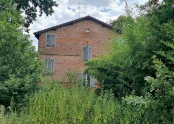Farm Soliera - photo 8