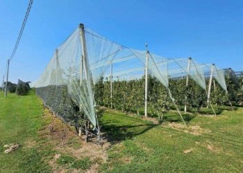 Farm Modena - photo 14