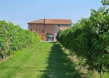 Farm Modena - photo 22