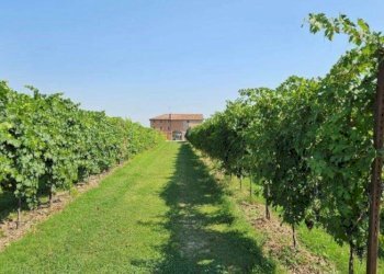 Farm Modena - photo 26