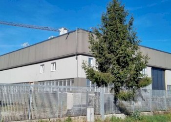 Capannone Mirandola - foto 3