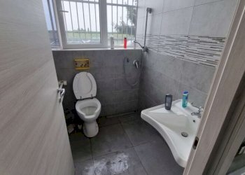 Capannone Mirandola - foto 11