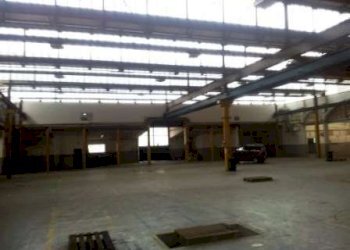 Capannone Soliera - foto 3