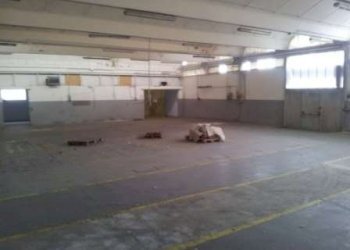 Capannone Soliera - foto 4