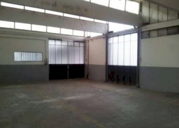 Capannone Soliera - foto 5