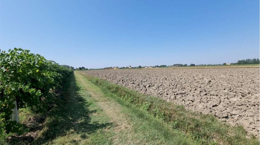 Agricultural land Carpi - photo 3