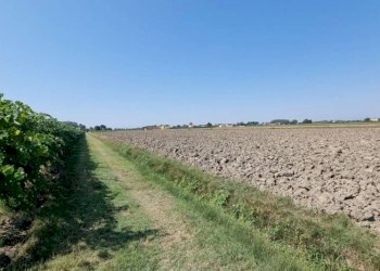 Terreno agricolo Carpi - foto 3
