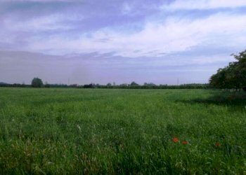 Terreno edificabile Modena - foto 1