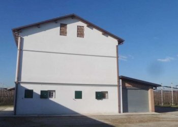 Casale Soliera - photo 4