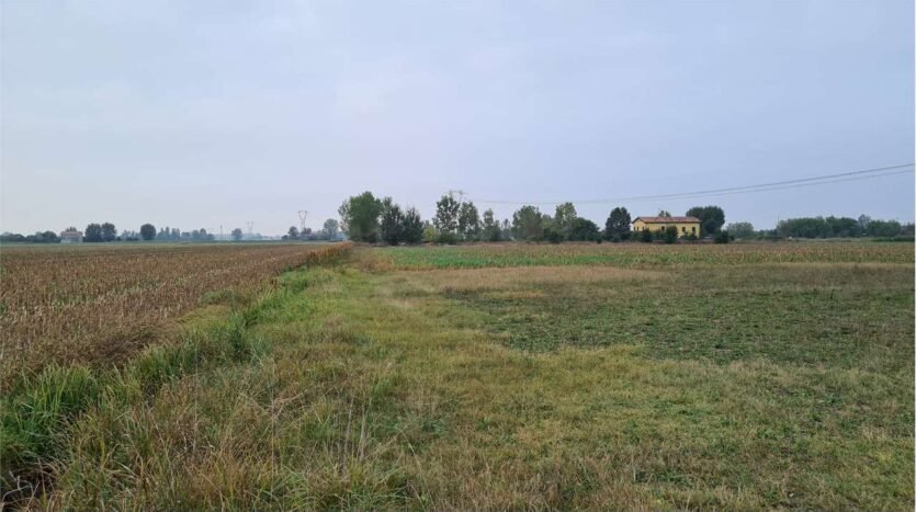 Agricultural land Carpi - photo 1