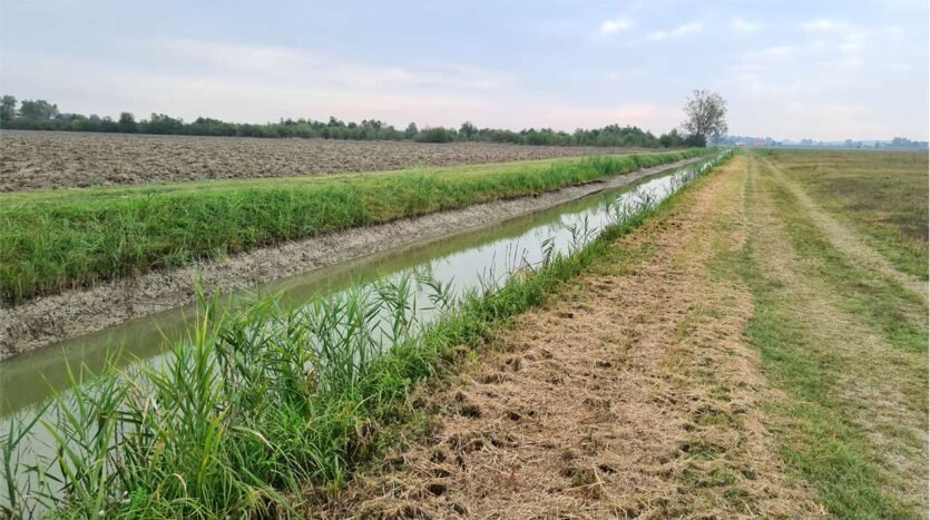 Agricultural land Carpi - photo 2