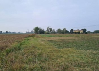 Terreno agricolo Carpi - foto 1