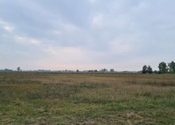 Terreno agricolo Carpi - foto 3