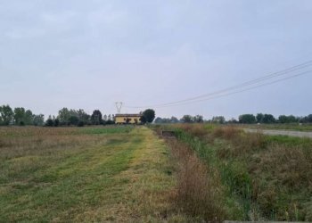 Terreno agricolo Carpi - foto 4