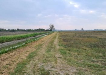 Terreno agricolo Carpi - foto 5