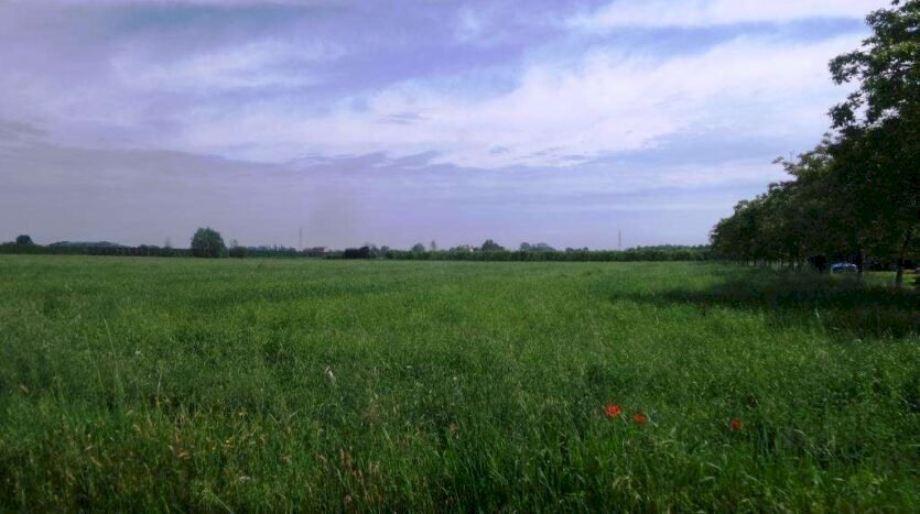 Building land Soliera - photo 2