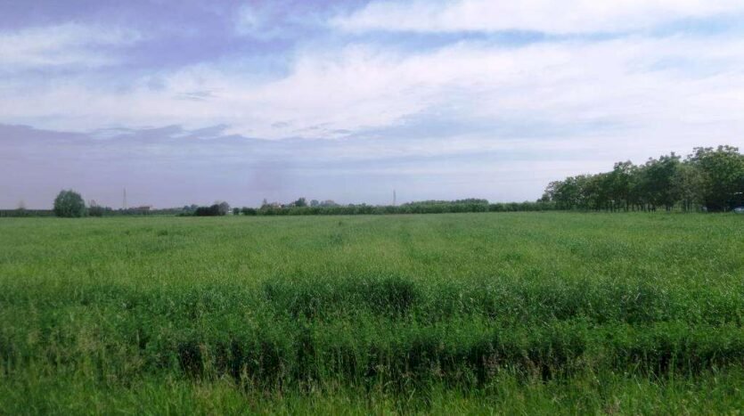 Building land Soliera - photo 3