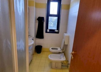 Capannone Soliera - foto 10