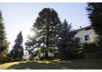 Villa Via Macallè, 15/11, Rivoli - foto 7