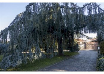 Villa Via Macallè, 15/11, Rivoli - foto 9