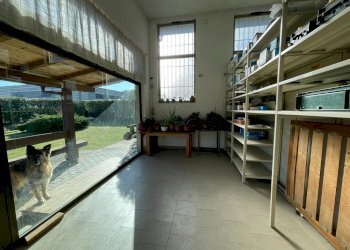 Locale Commerciale Aulla - foto 5