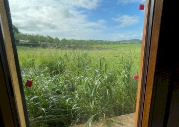 dettagli - Casa indipendente Strada Bagnaia - Pilonico Materno 39, Perugia - foto 23