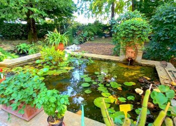 Independent house Campegine - photo 3