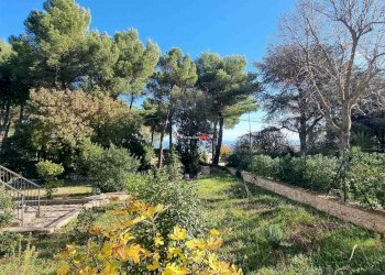 Villa Via Dei Cespugli, Fasano - foto 31