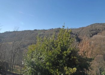 Farmhouse Murazzano - photo 22