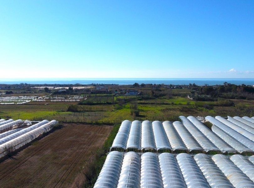 Stable - Palace Mondragone - photo 3