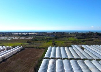 Stabile - Palazzo Mondragone - foto 3