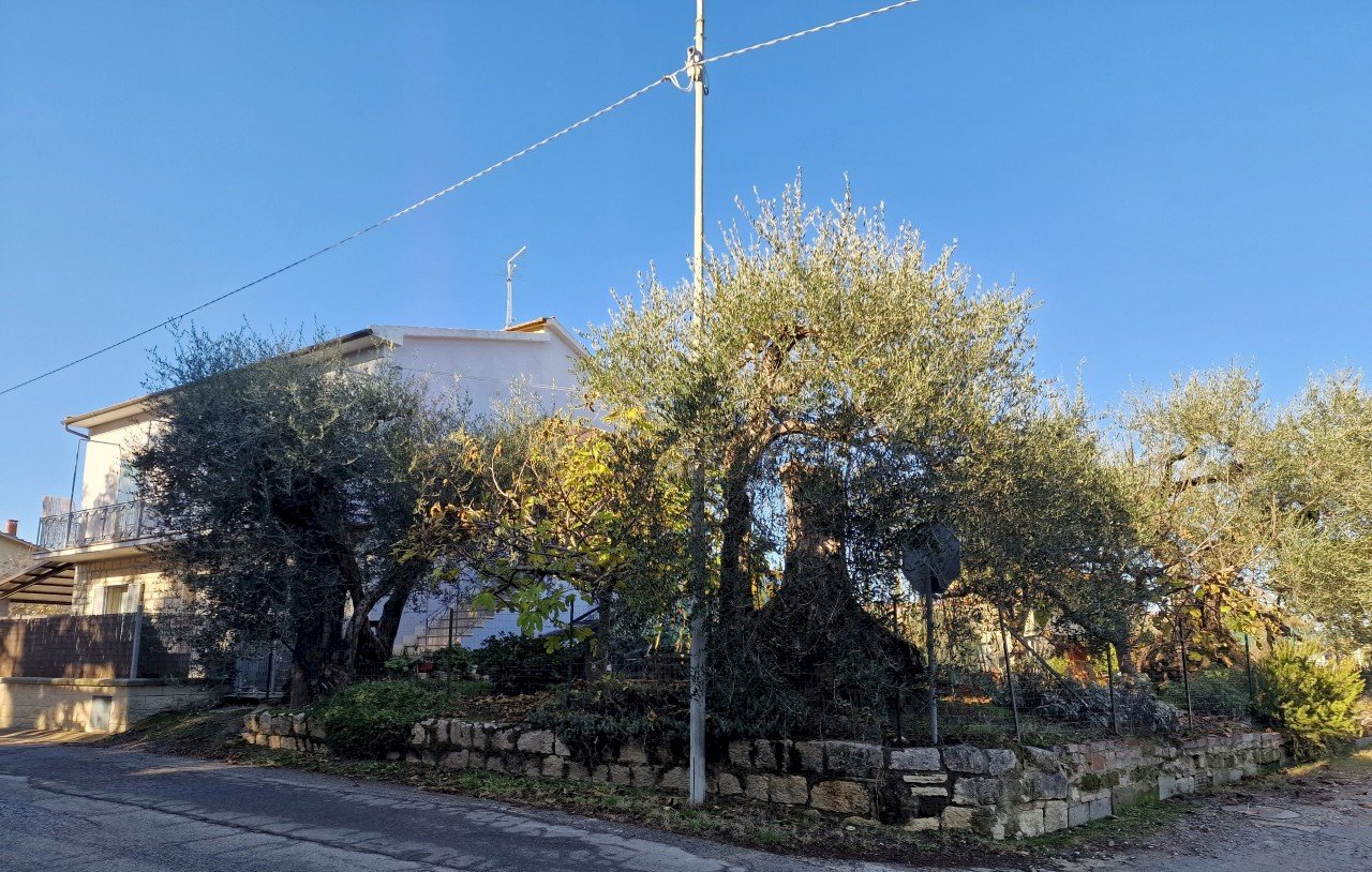 2.jpg - Appartamento Via Umbria 49, Montepulciano - foto 2