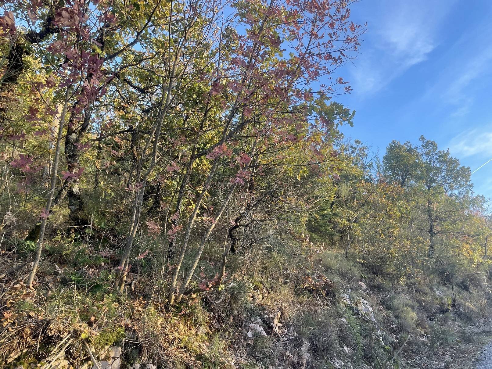 Agricultural land Frazione Castagna Cupa, Spoleto - photo 2