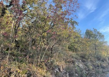 Terreno agricolo Frazione Castagna Cupa, Spoleto - foto 2