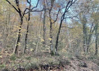 Terreno agricolo Frazione Castagna Cupa, Spoleto - foto 5