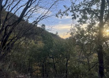 Terreno agricolo Frazione Castagna Cupa, Spoleto - foto 6