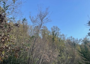 Terreno agricolo Frazione Castagna Cupa, Spoleto - foto 7